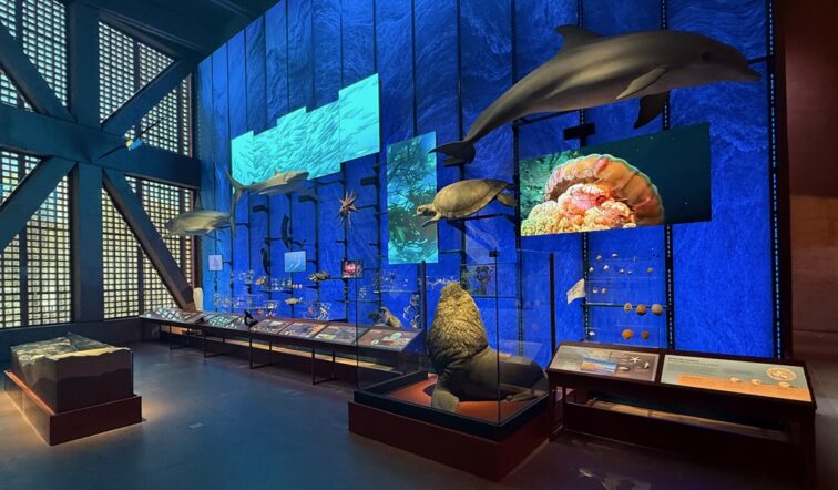 Chile's Museo Regional de Atacama exhibit that uses digital signage to create an immersive visitor experience